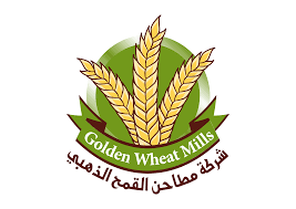 مدير المبيعات